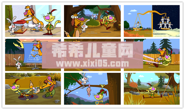 向往自由的猫.png