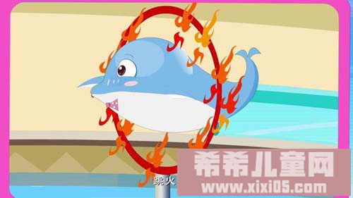 39 海豚[www.xixi05.com]_20161028112514.JPG