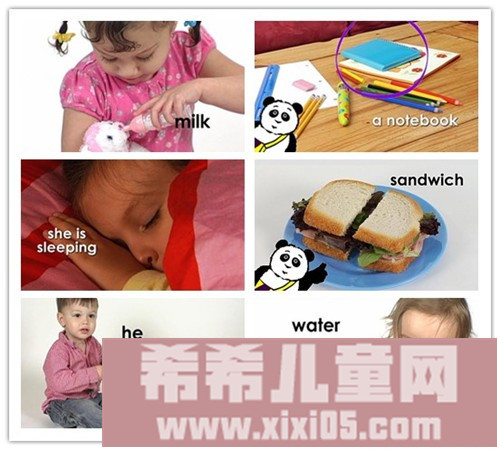 Little Pim浸入式英语学习3DVD .jpg