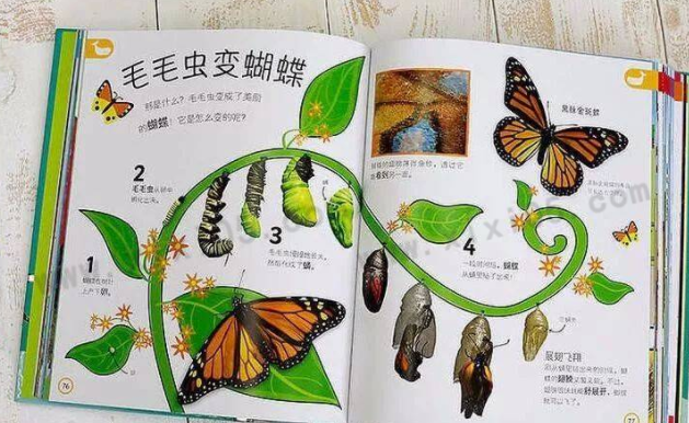 1666285250886503.png image.png